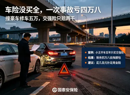 图片 (1).webp